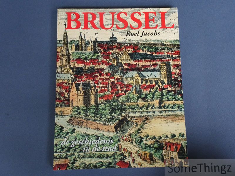 Cover van Brussel. De geschiedenis in de stad.
