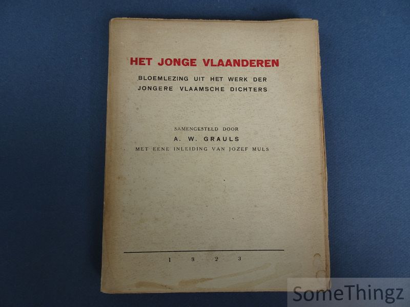 Cover van Het jonge Vlaanderen: bloemlezing uit het werk der jongere Vlaamsche dichters.