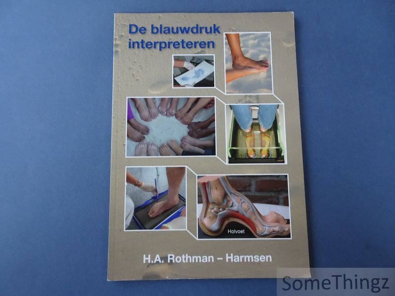 Cover van De blauwdruk interpreteren.
