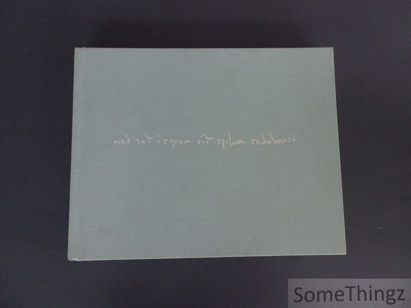 Cover van Sigur Ros. Med sud i eyrum vid spilum endalaust. [Book and 2 dvd's.]