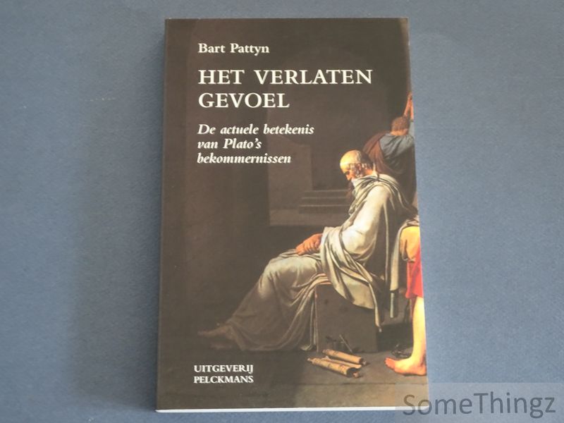 Cover van Het verlaten gevoel. De actuele betekenis van Plato's bekommernissen.